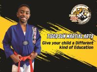 Tiger Sun Martial Arts image 10
